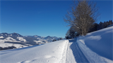 Winterwanderweg+Alberschwende+-+Kaltenbrunnen+%5b001%5d